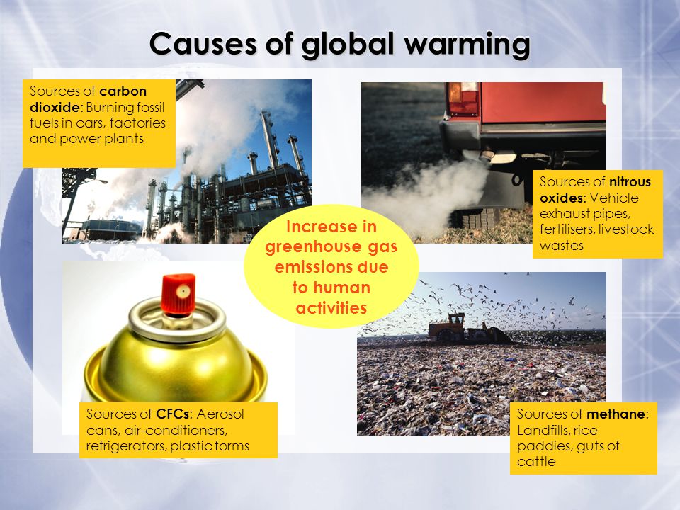 Effects of global warming. Global warming causes. What causes Global warming. Reasons of Global warming. The main cause of Global warming is.