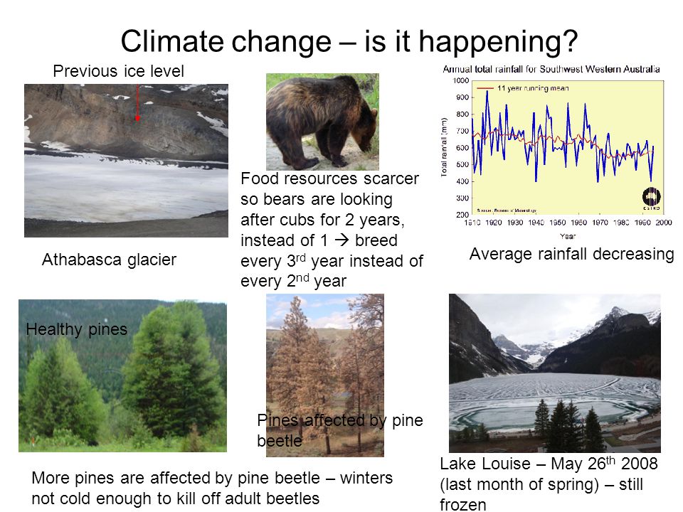 Climate change – is it happening