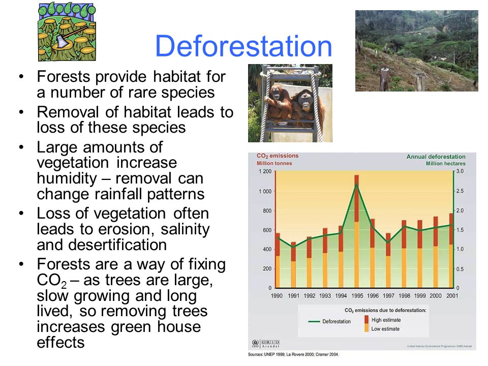 Deforestation Forests provide habitat for a number of rare species