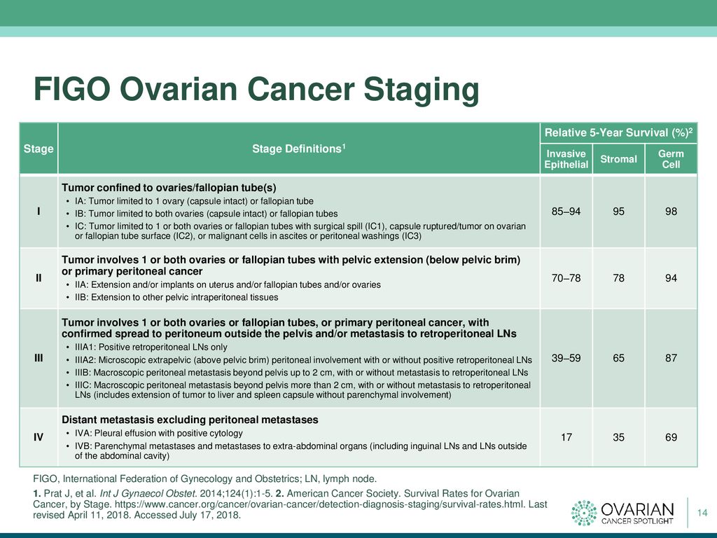 Initial Clinical Management Of Ovarian Cancer Ppt Download