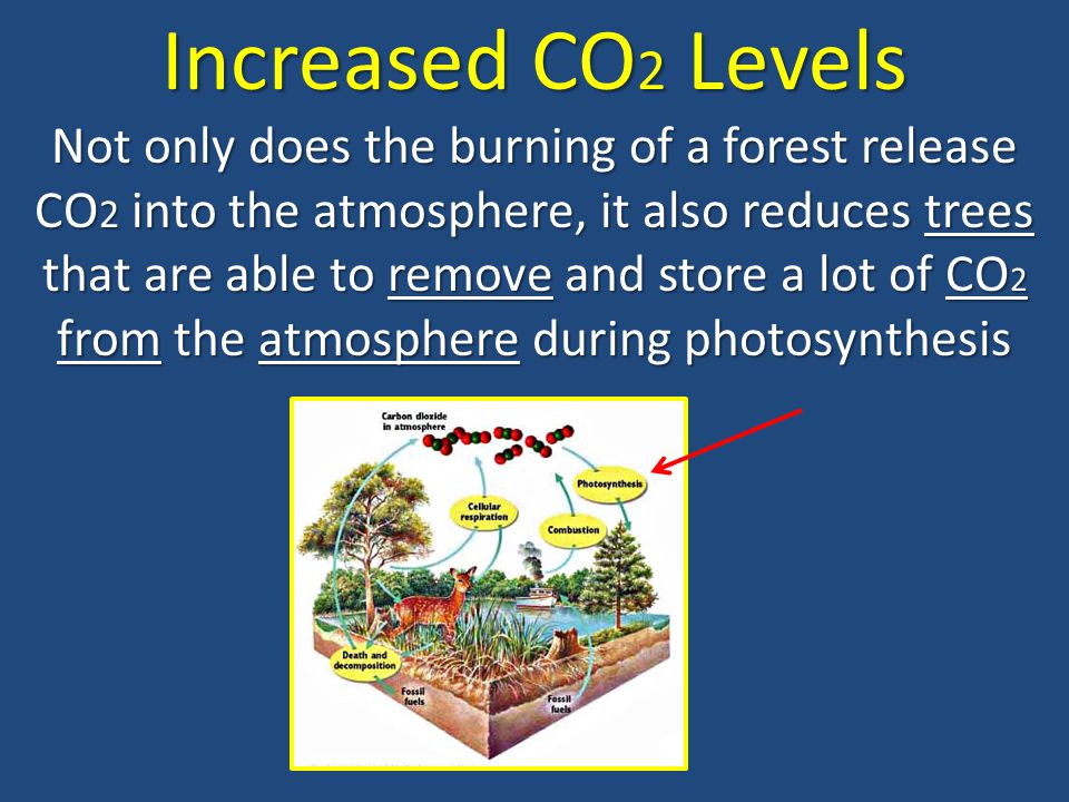Increased CO2 Levels