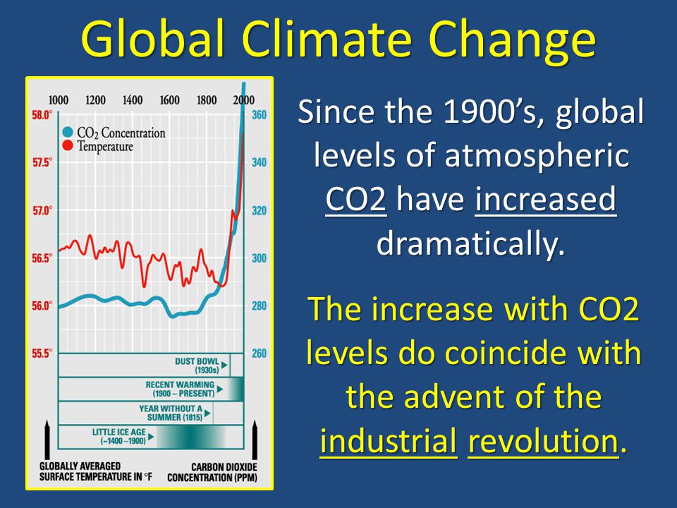 Global Climate Change Since the 1900’s, global levels of atmospheric CO2 have increased dramatically.