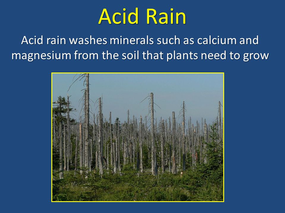 Acid Rain Acid rain washes minerals such as calcium and magnesium from the soil that plants need to grow.