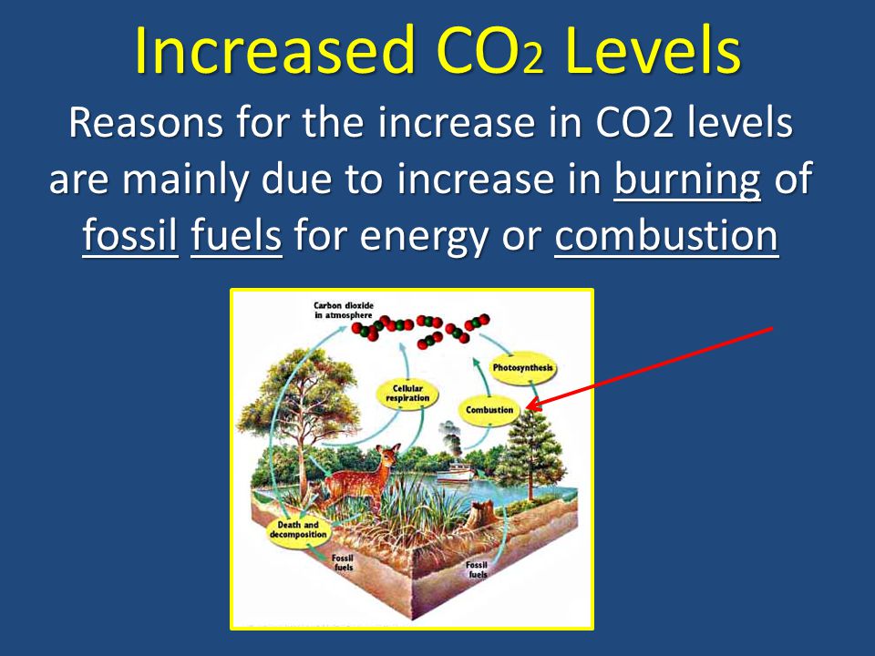 Increased CO2 Levels Reasons for the increase in CO2 levels are mainly due to increase in burning of fossil fuels for energy or combustion.