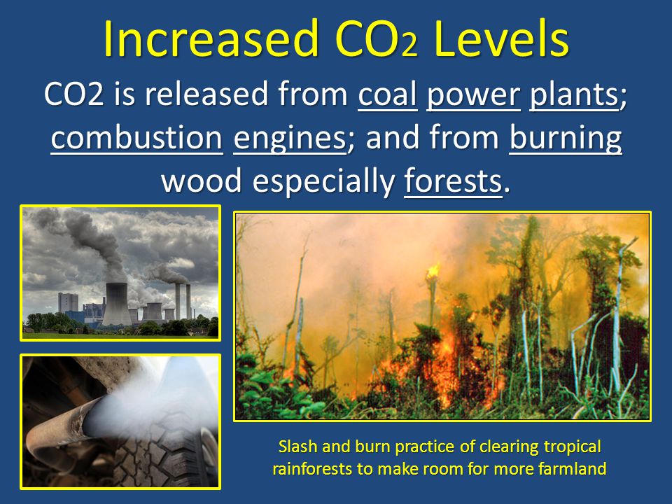 Increased CO2 Levels CO2 is released from coal power plants; combustion engines; and from burning wood especially forests.