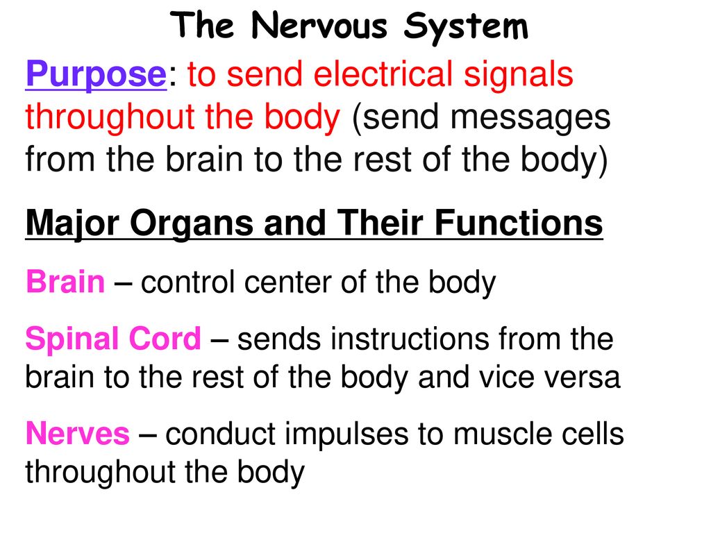 Human Anatomy and Body Systems Biology Diagrams
