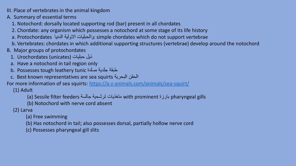 INTRODUCTION TO THE VERTABRATE BODY - ppt download