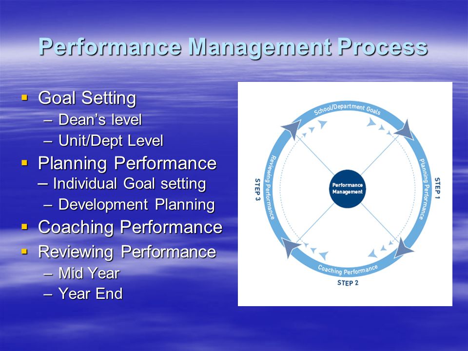 Performance Management Process