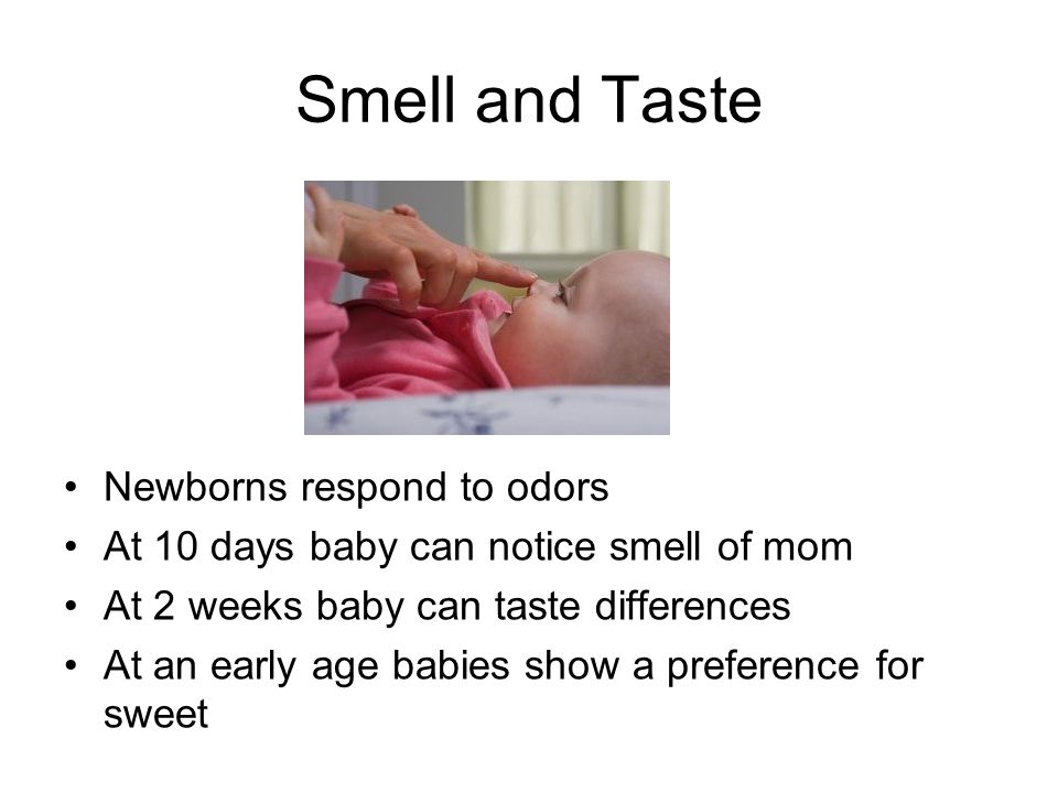Smell and Taste Newborns respond to odors