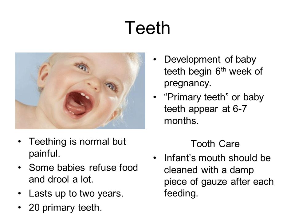 Teeth Development of baby teeth begin 6th week of pregnancy.
