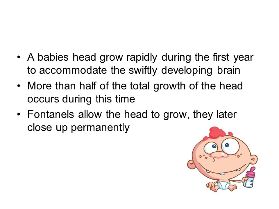 A babies head grow rapidly during the first year to accommodate the swiftly developing brain