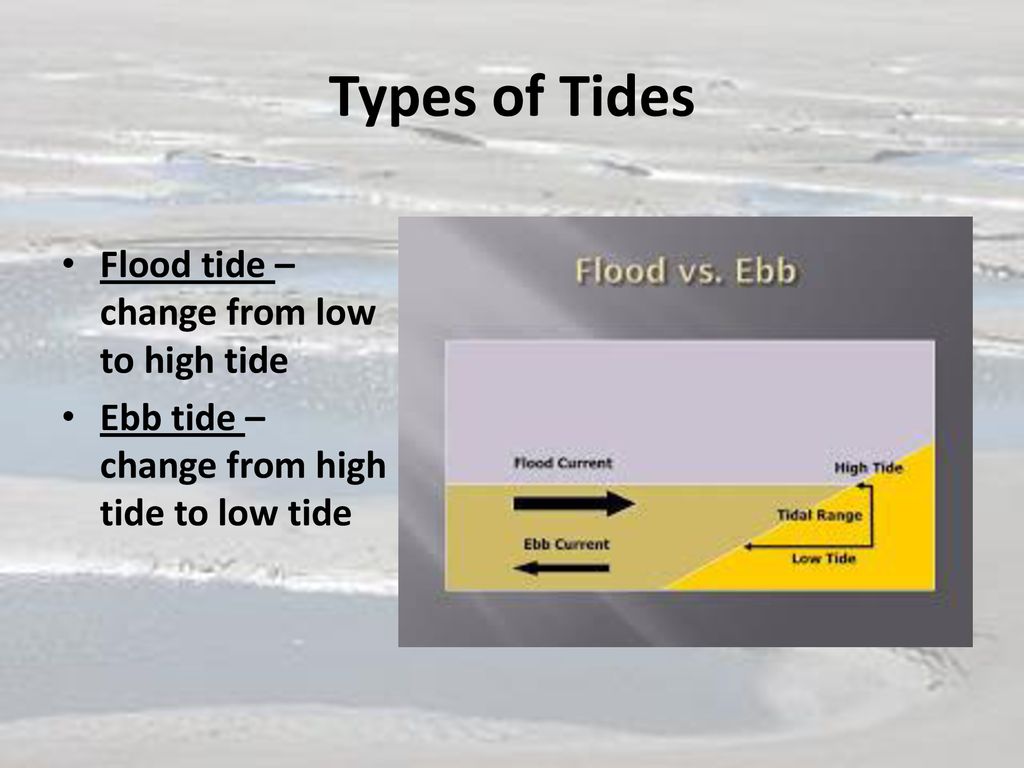 Tides Oceanography. - ppt download