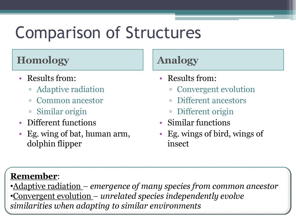 Chapter 10: Evolutionary Biology - Ppt Download