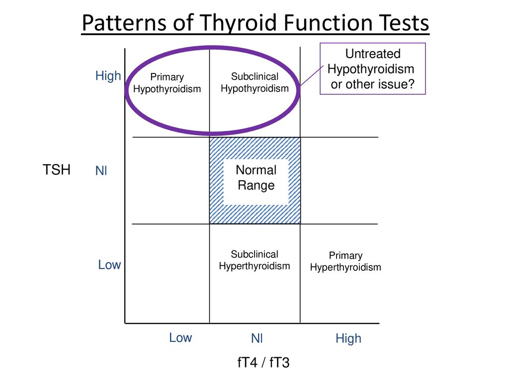 Weird Thyroid Function Test Results - ppt download