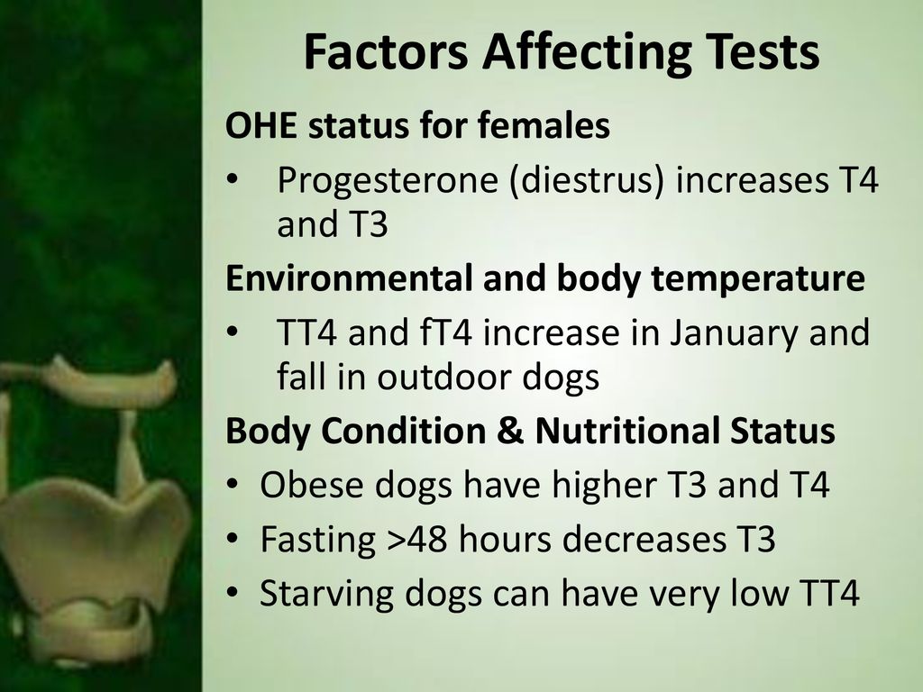 Factors Affecting Tests