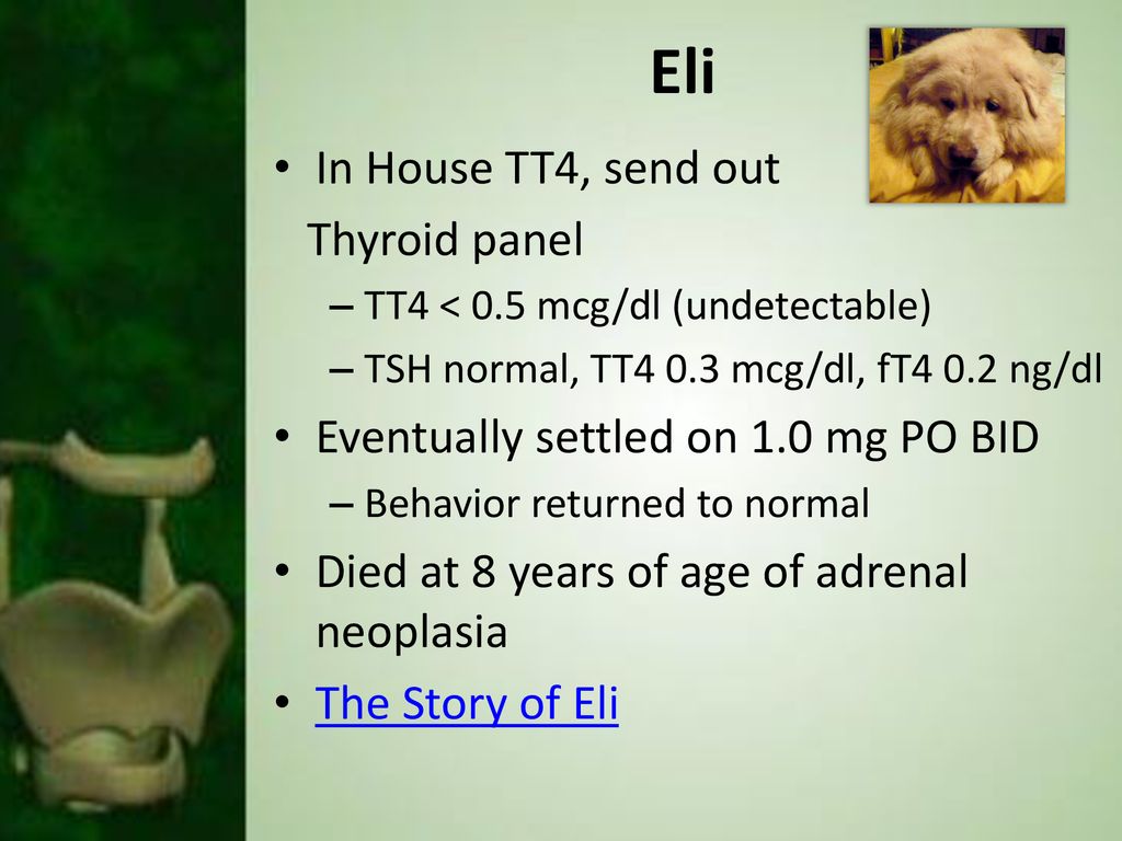Eli In House TT4, send out Thyroid panel