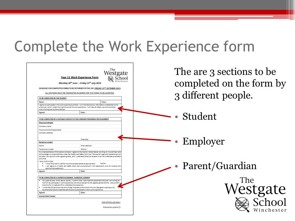 Complete the Work Experience form