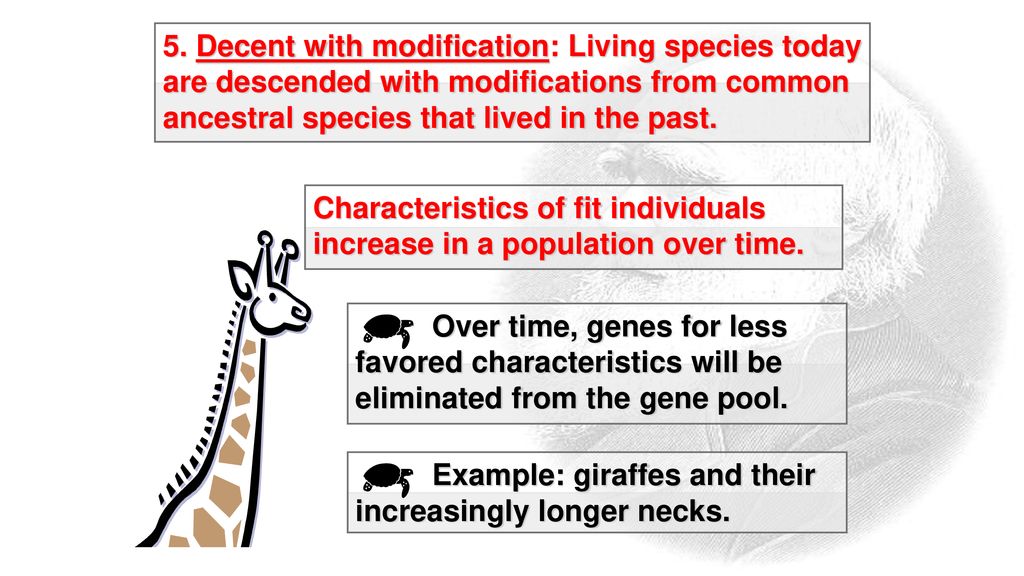 Part 1 Theory of evolution - ppt download