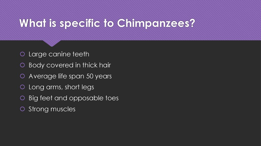Primatology: What Makes Us Human? - ppt download
