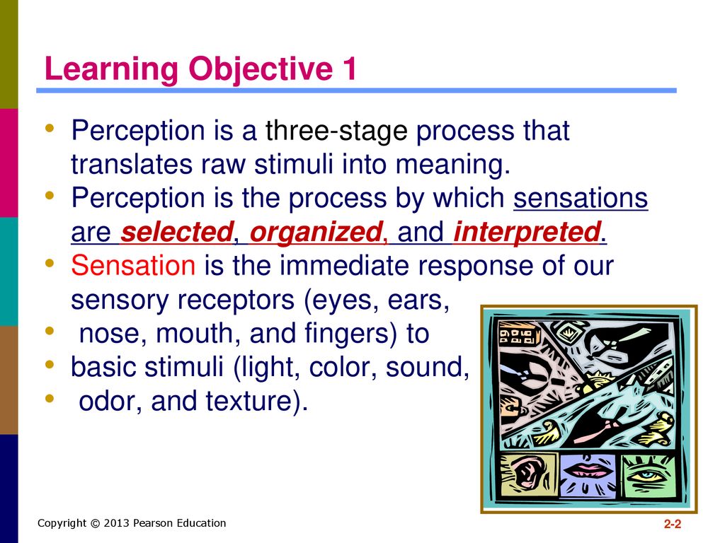 Learning Objective 1 Perception is a three-stage process that translates raw stimuli into meaning.