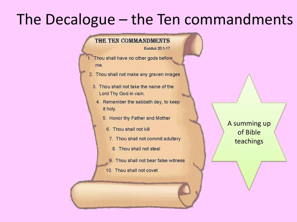 Do now look at your partner s homework ppt download