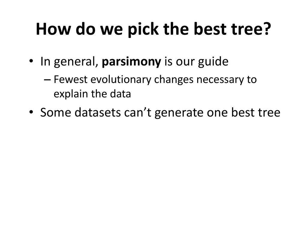 Schedule Cultural Connection Introduction To Evolution Ppt Download