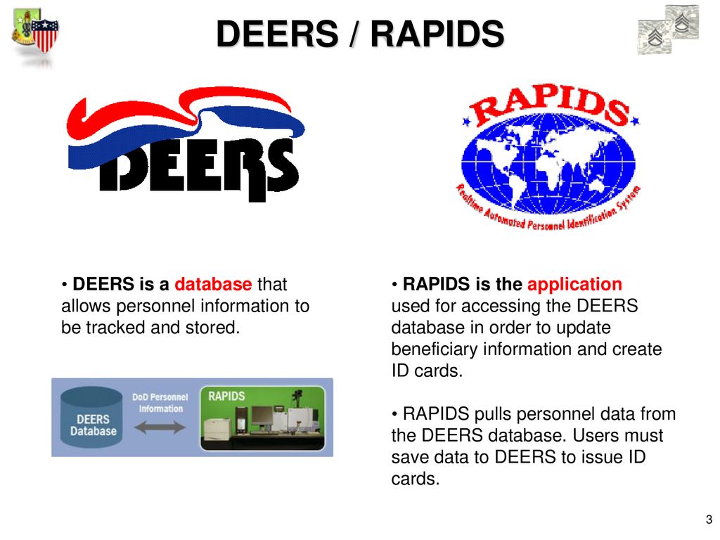 What id card procedural safeguards should s 1s sections have in place