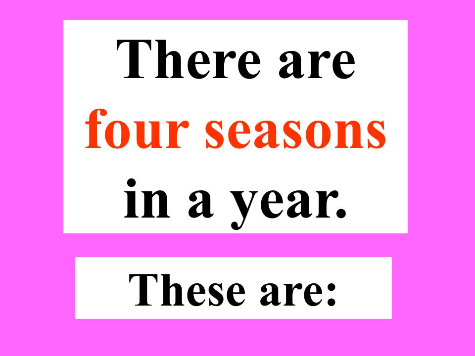 There are four seasons in a year.