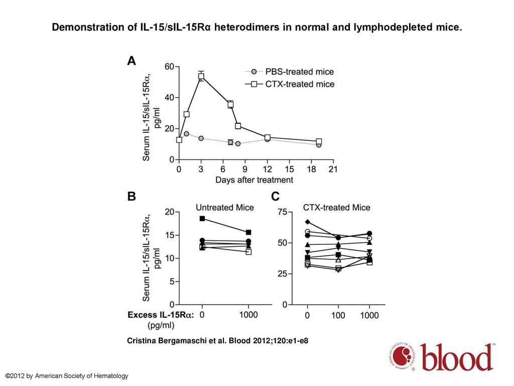 Demonstration of IL-15/sIL-15Rα heterodimers in normal and lymphodepleted mice.