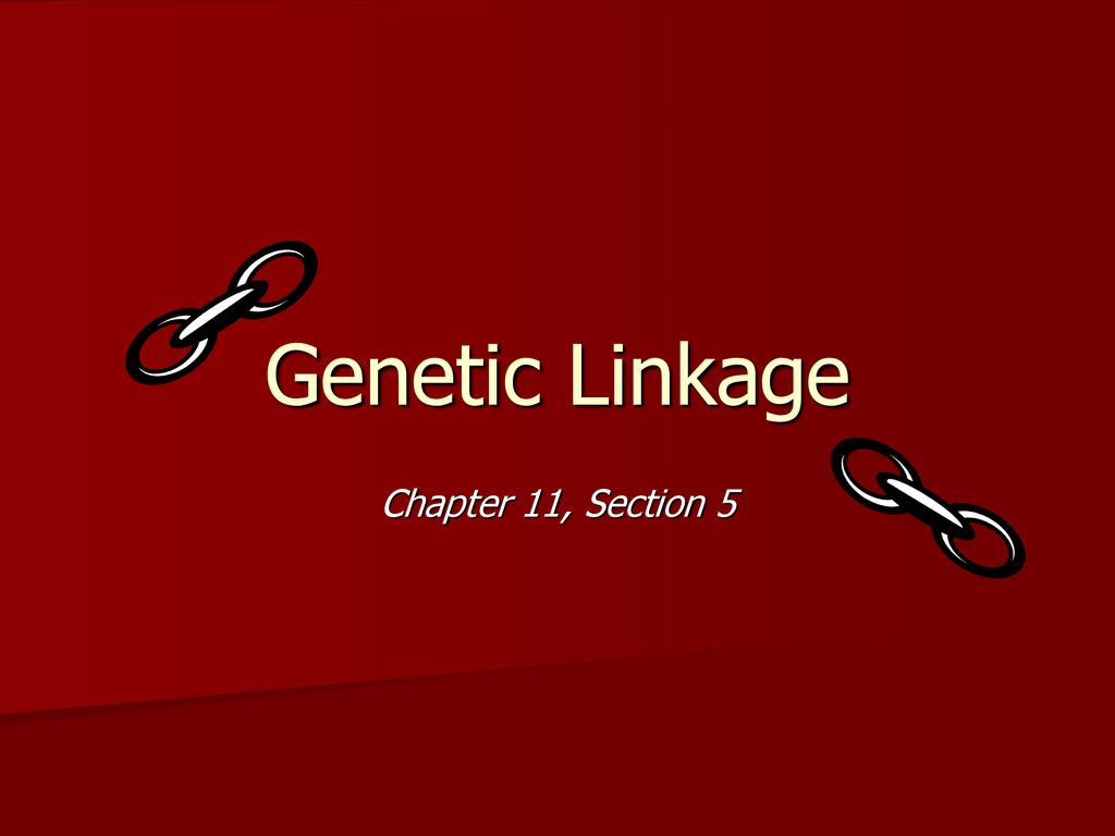 genetic-linkage-chapter-11-section-ppt-download