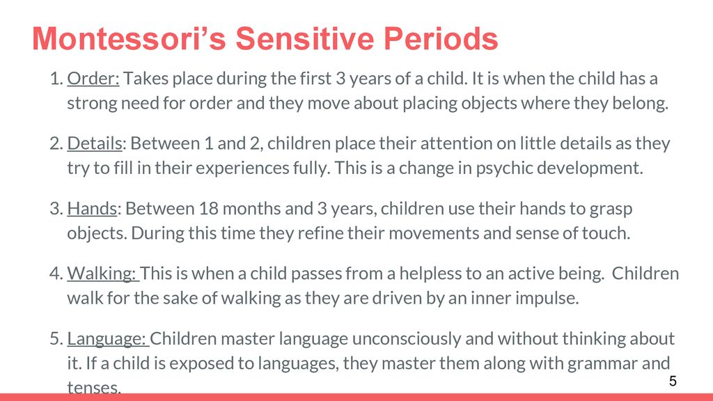 Montessori’s Sensitive Periods