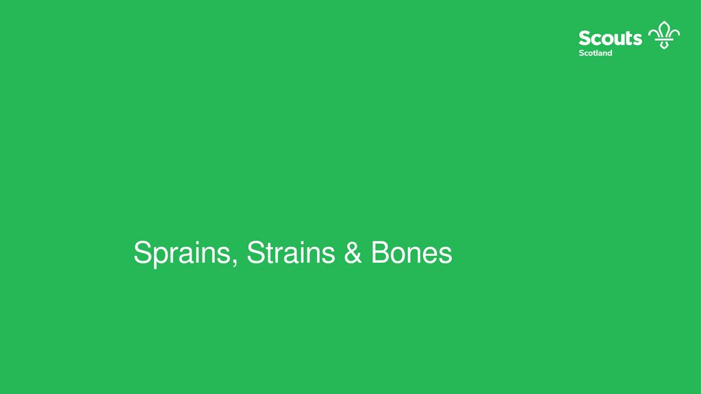 Sprains, Strains & Bones