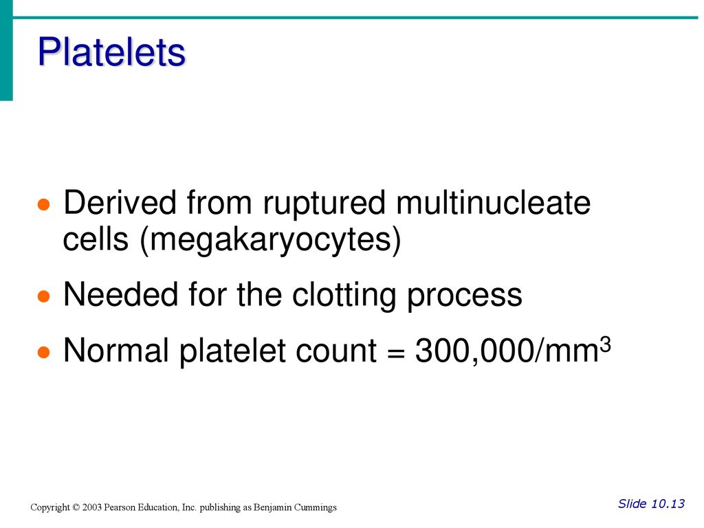 Platelets Derived from ruptured multinucleate cells (megakaryocytes)