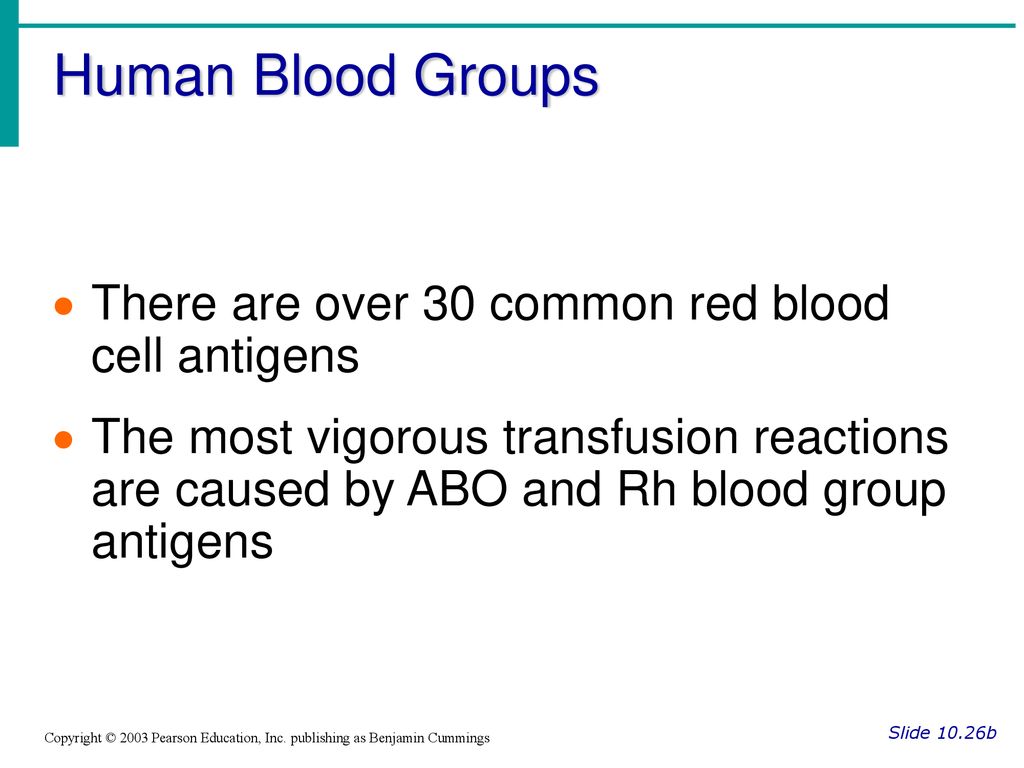 Human Blood Groups There are over 30 common red blood cell antigens