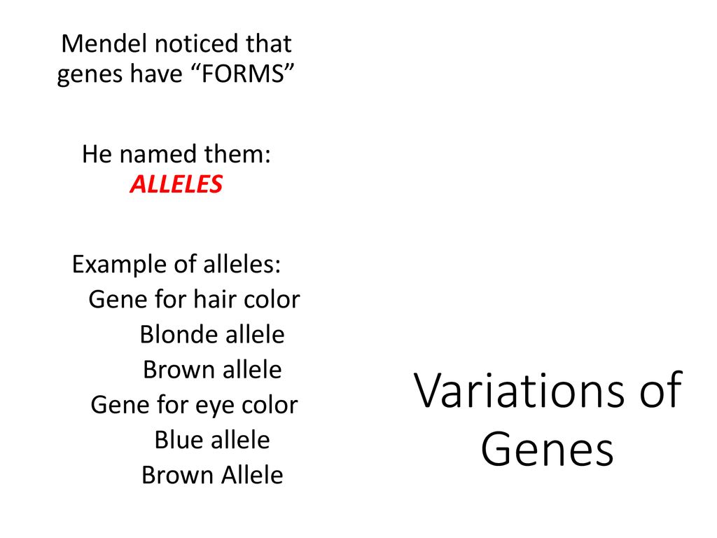 Genetics Big Picture Review Ppt Download