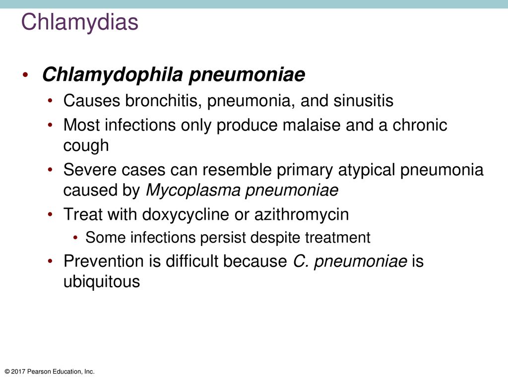 Rickettsias, Chlamydias, Spirochetes, and Vibrios - ppt download