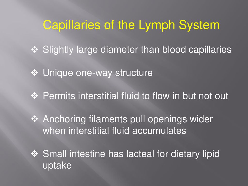 The Lymphatic System and Immunity - ppt download