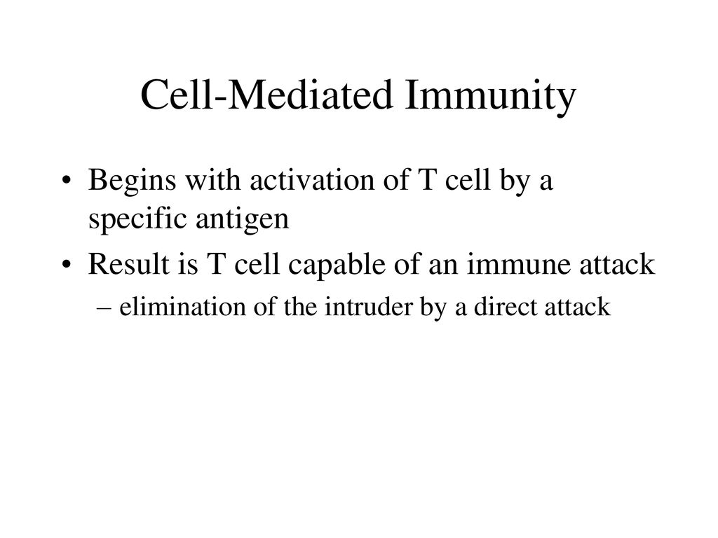 Lymphatic and Immune System - ppt download