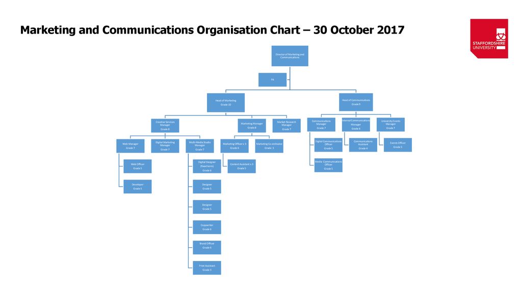 Digital Marketing Org Chart