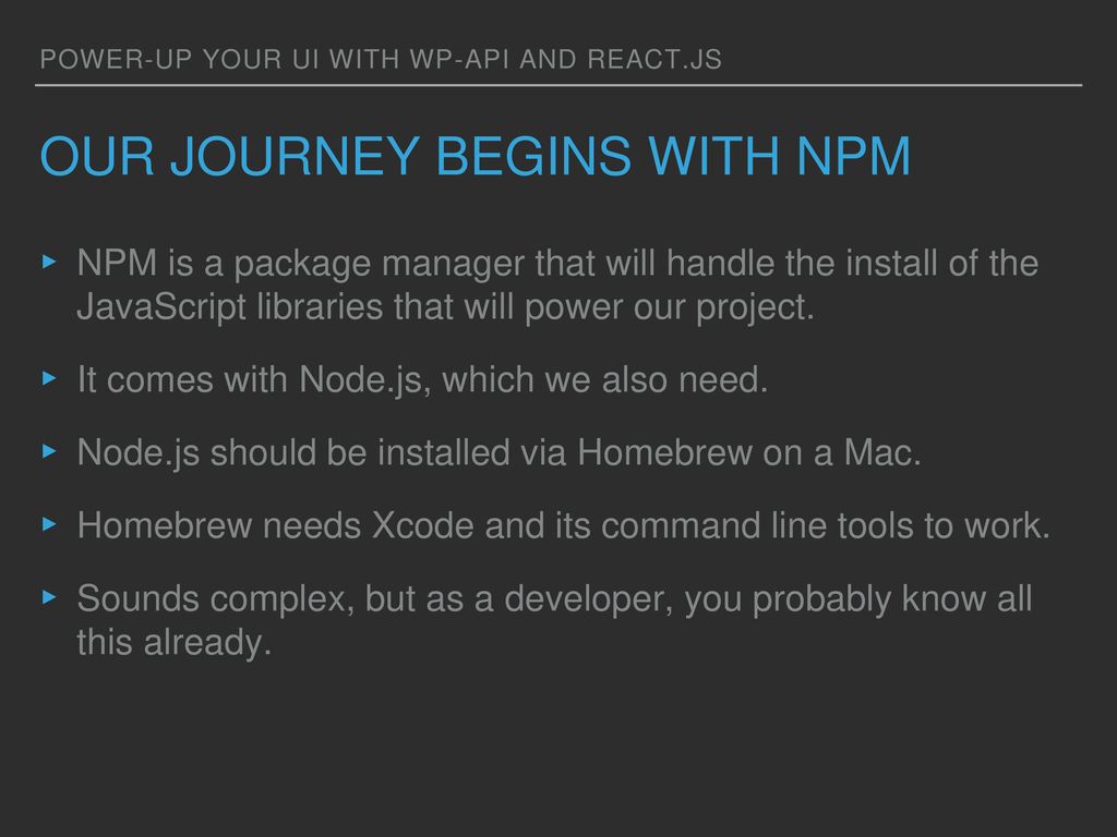 Our journey begins with NPM