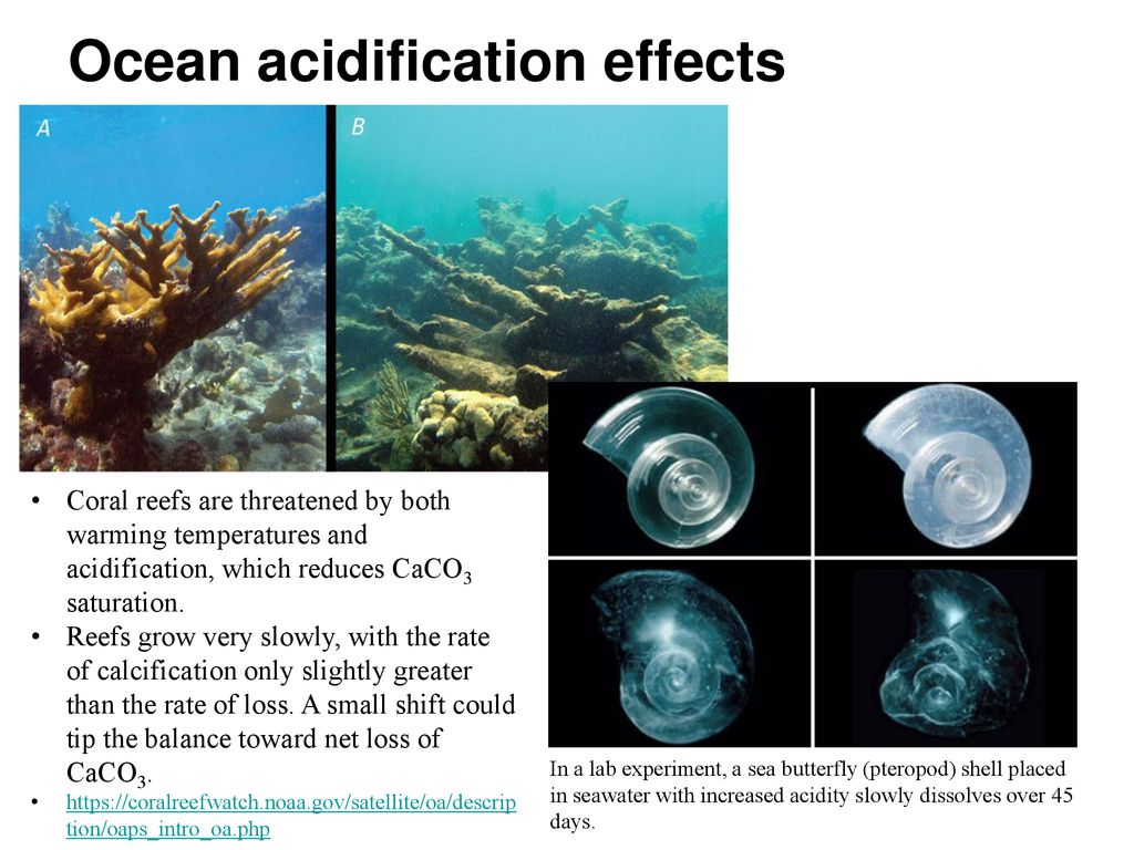 Water and the Oceans What are the distribution and flows of water