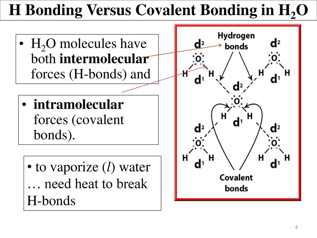 H Bonding Versus Covalent Bonding in H2O