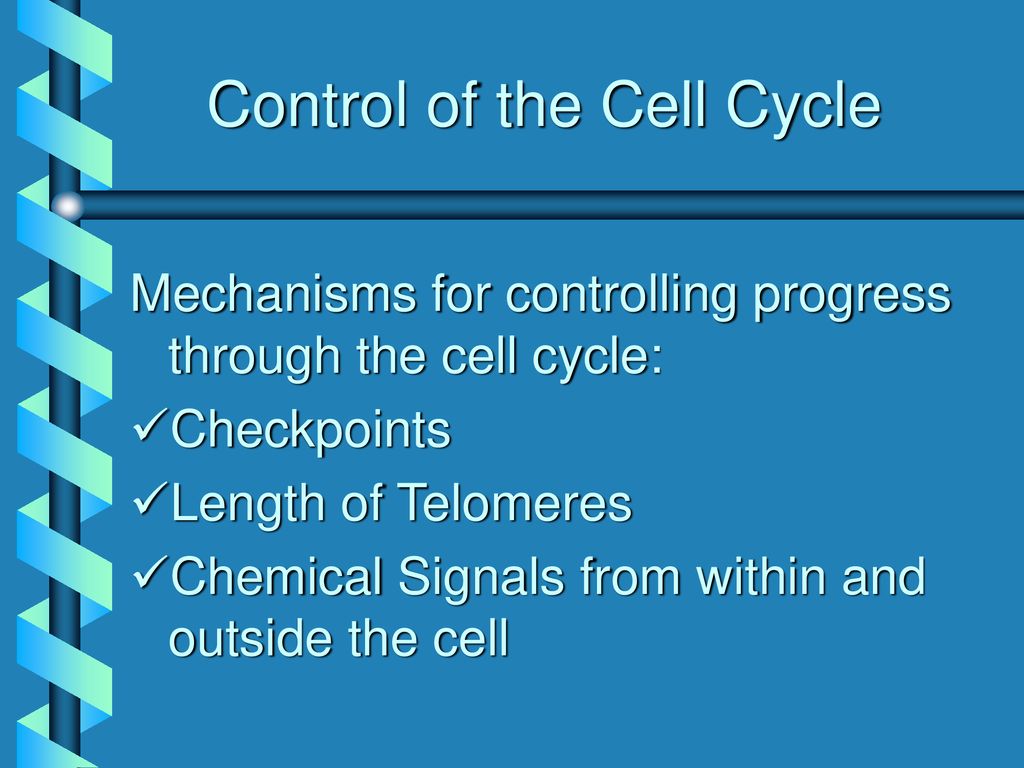 Alterations in the Cell Cycle and Gene Mutations that Cause Cancer Biology Diagrams