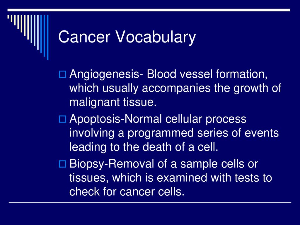 Cell Biology and Cancer ppt download
