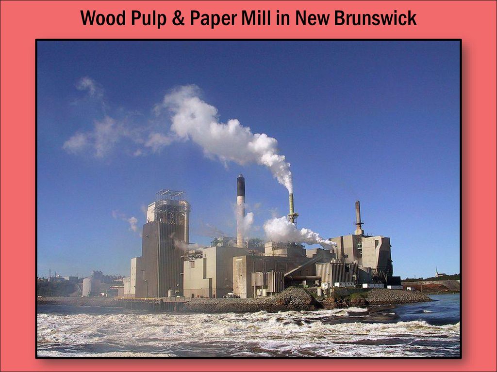 Wood Pulp & Paper Mill in New Brunswick