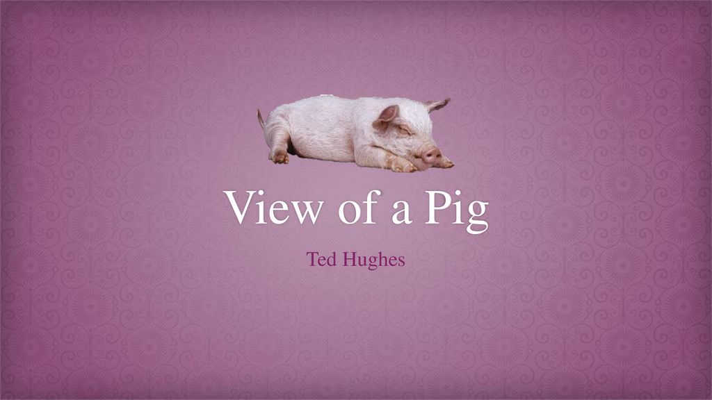 view of a pig poem