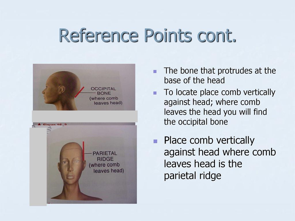 Hair Cutting Reference Points are used to establish design guidelines and  create the same haircut over and over again. - ppt download