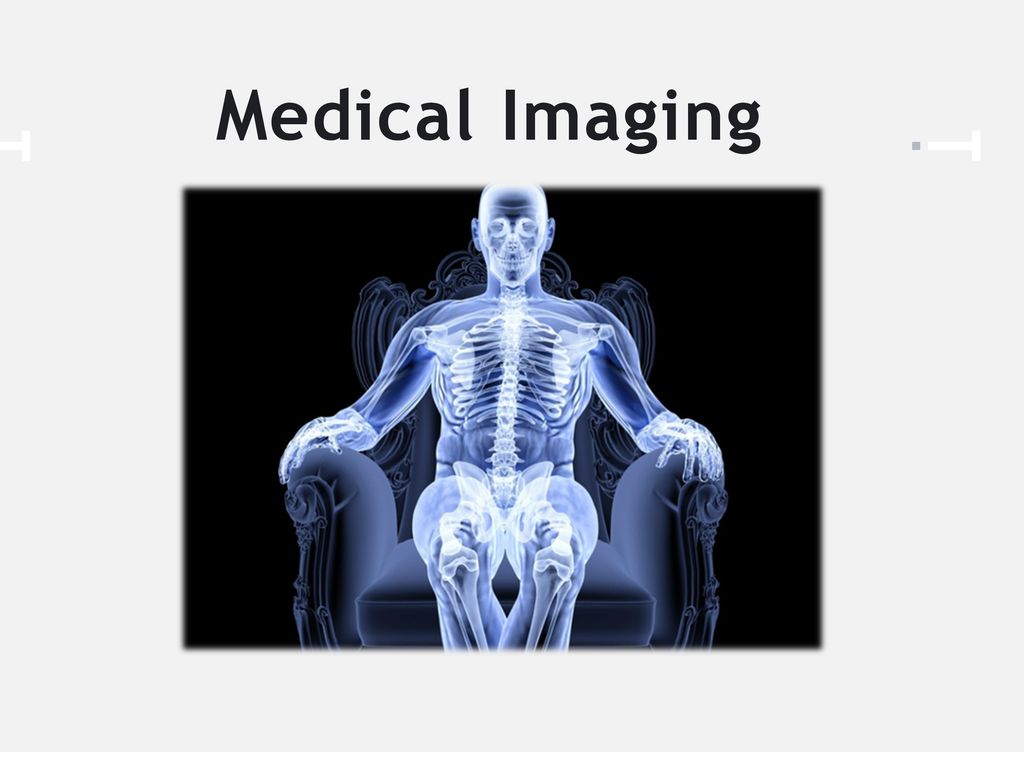 INTRODUCTION TO THE HUMAN BODY Biology Diagrams