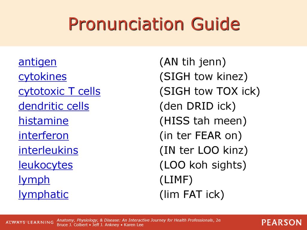14 The Lymphatic And Immune Systems Your Defense Systems Ppt Download