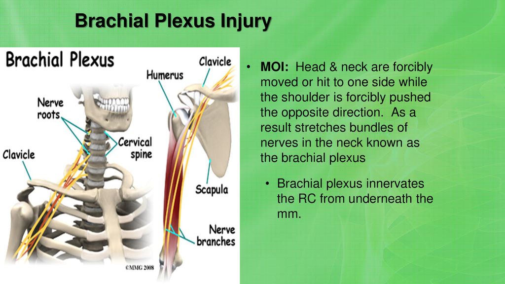 2/09/15 Today’s Agenda: U3 EQ: What are the common athletic injuries to ...